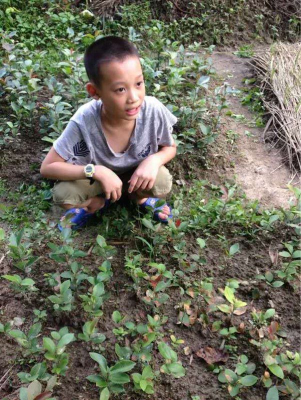 [急寻]福州市台江区12岁男孩走失
