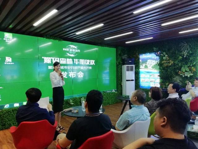 碧桂园国际展销部马来西亚崔静光临中国区碧桂园森林城市安阳展厅