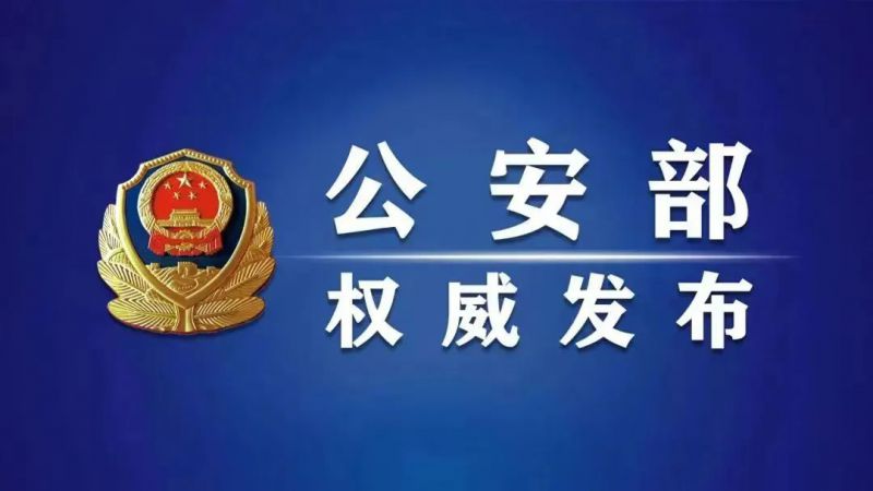 公安部：保安服务业改革发展取得新成效