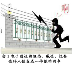 图片7